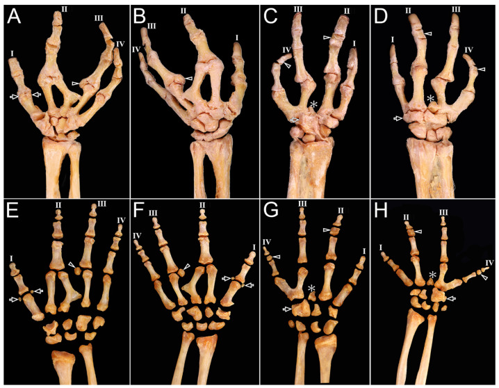 Figure 9