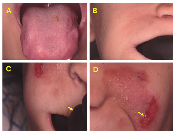 Figure 7
