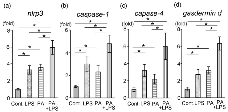 Figure 5