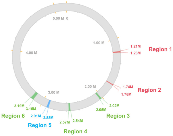 Figure 6