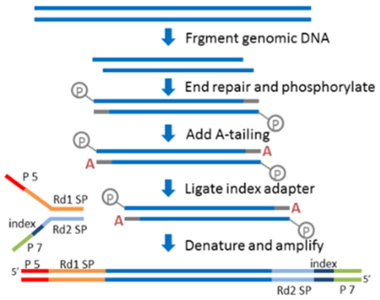 Figure 10
