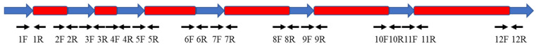 Figure 11