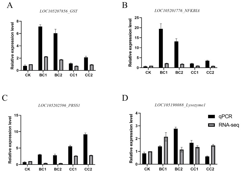 Figure 6