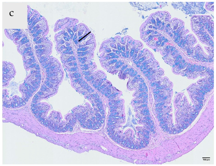 Figure 8