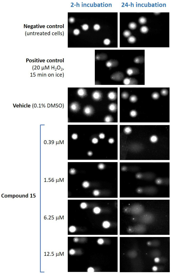 Figure 16