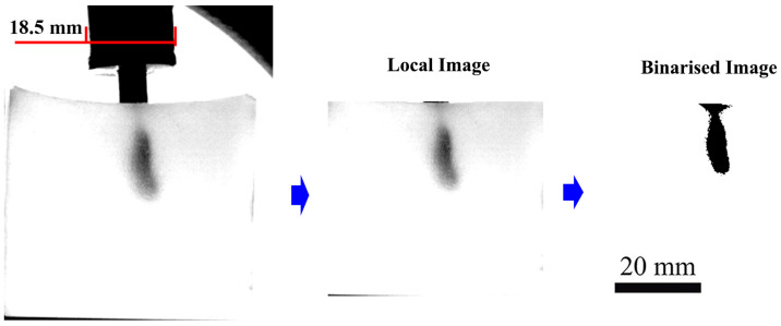 Figure 11