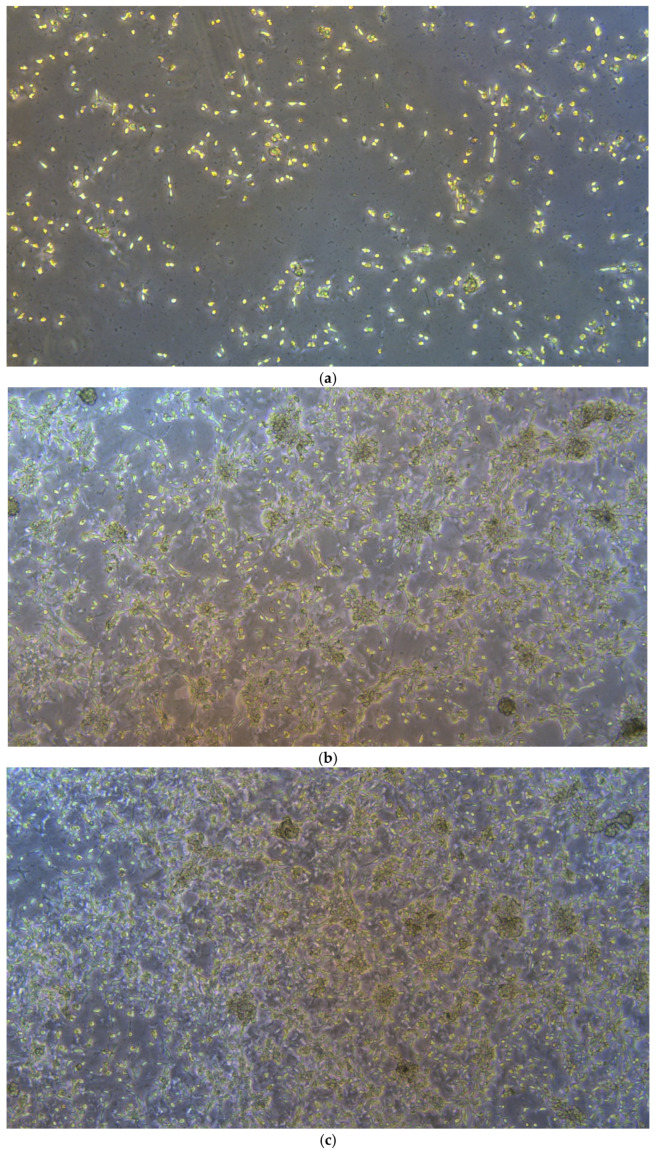 Figure 15