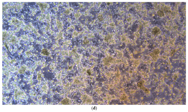 Figure 16
