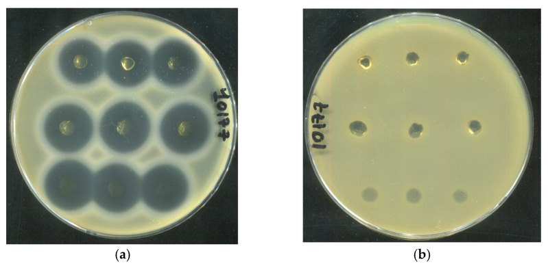 Figure 20