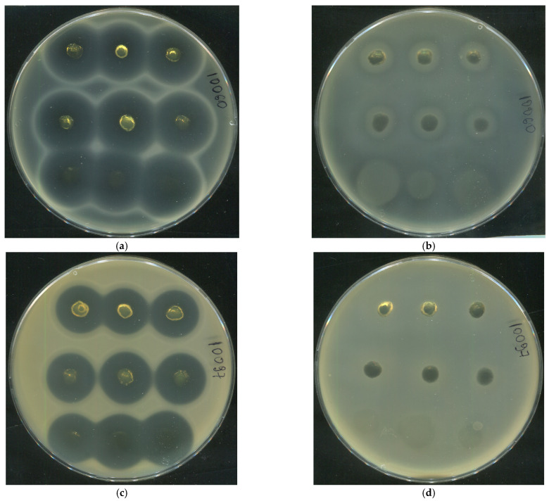 Figure 22