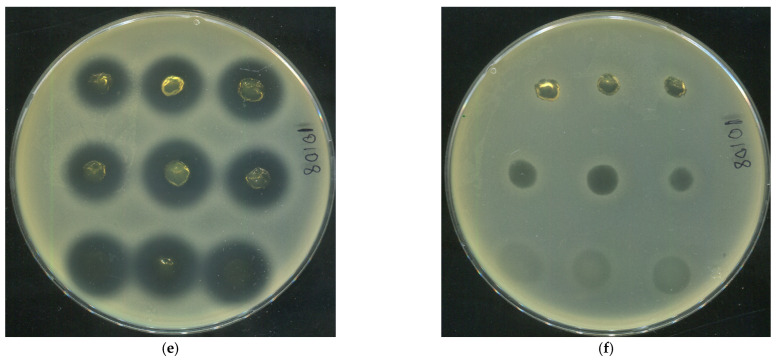 Figure 23