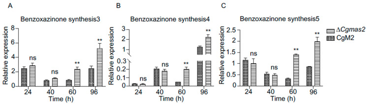 Figure 7