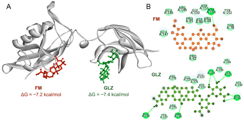Figure 11