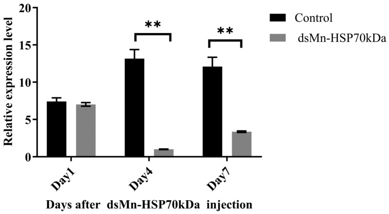 Figure 5