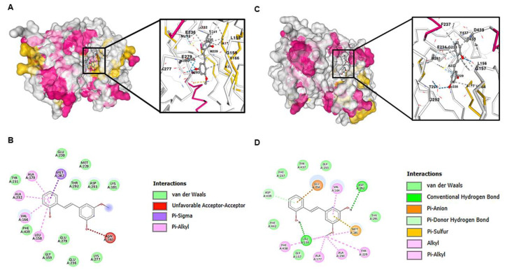 Figure 12