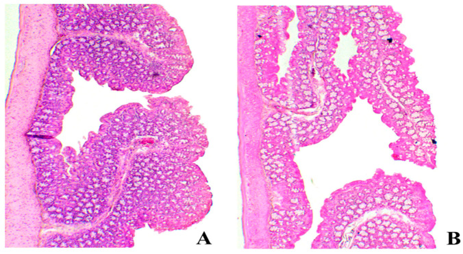 Figure 10