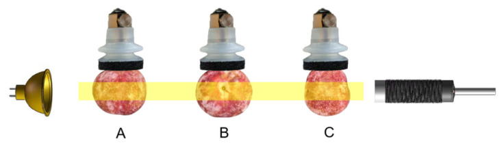 Figure 9