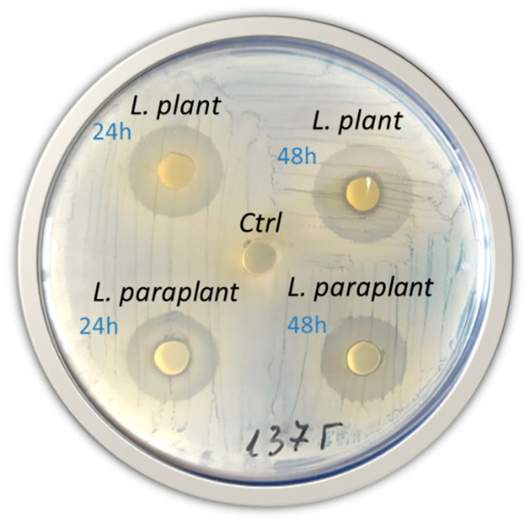 Figure 5