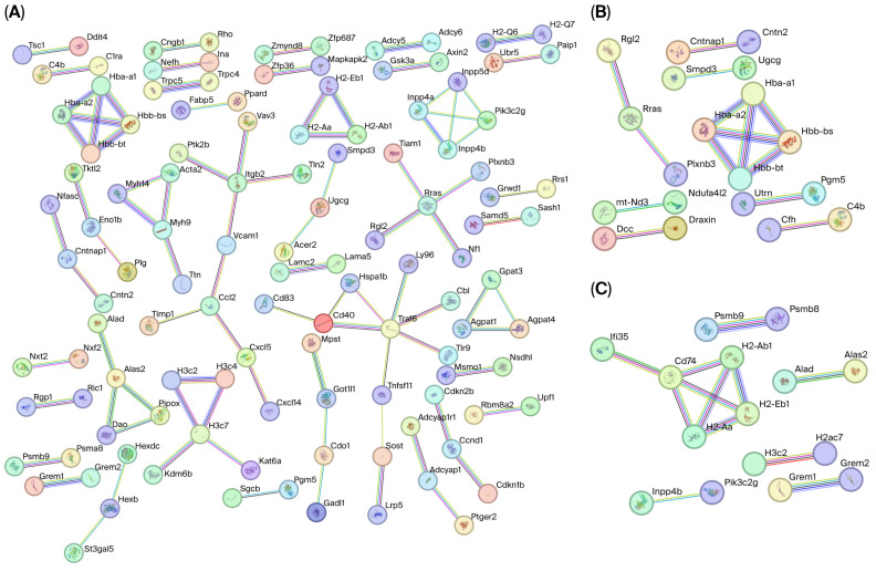 Figure 4
