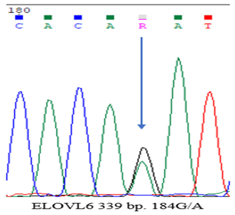 Figure 5