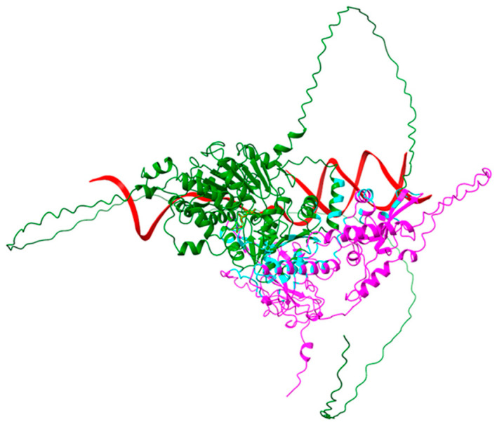 Figure 5