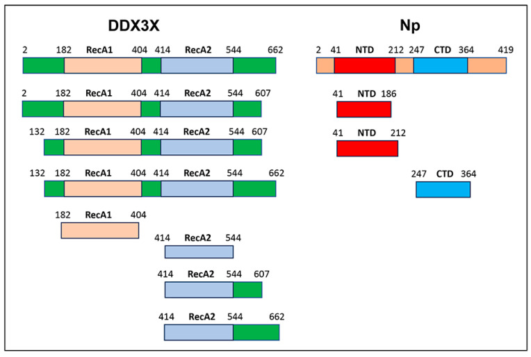 Figure 13