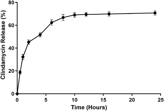 Figure 11
