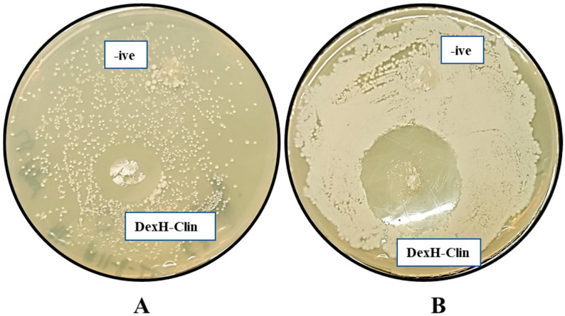 Figure 13