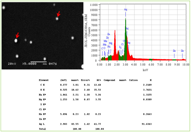 Figure 5