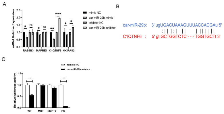 Figure 5
