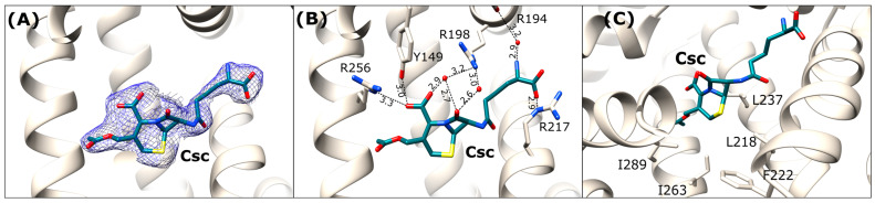 Figure 7