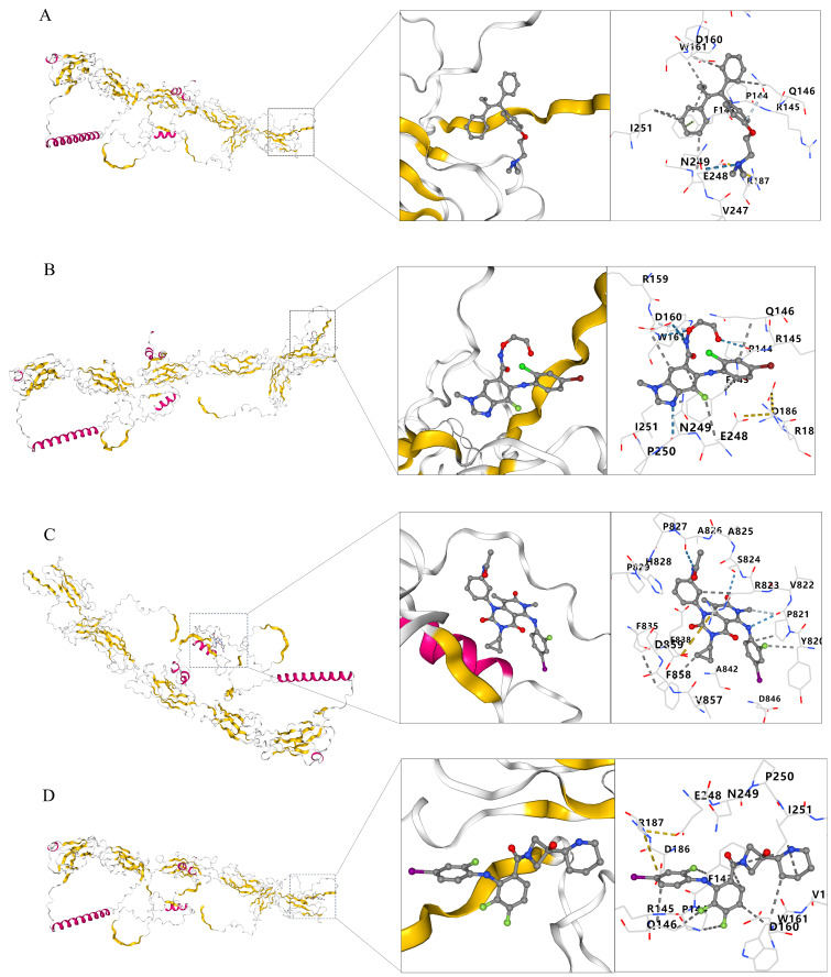 Figure 12