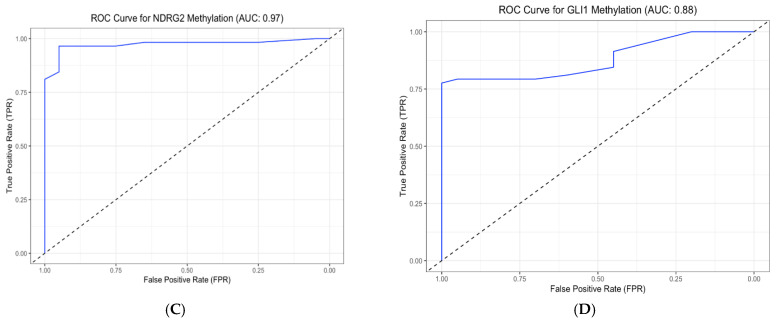 Figure 13