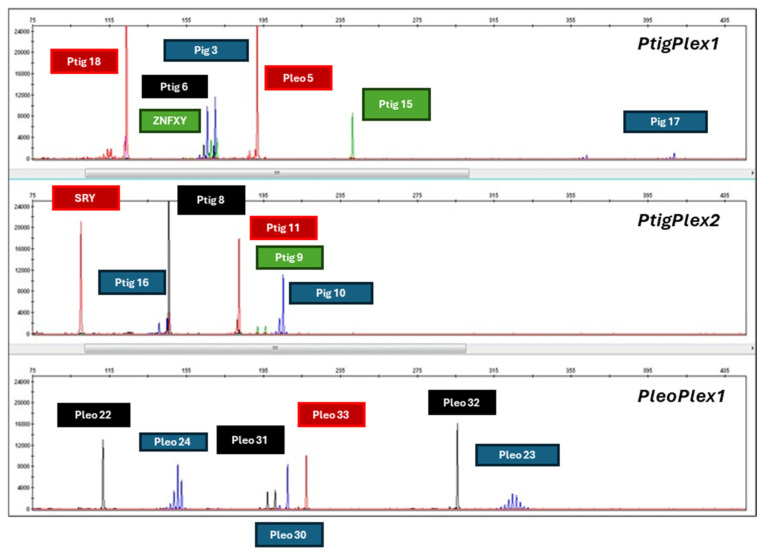 Figure 4