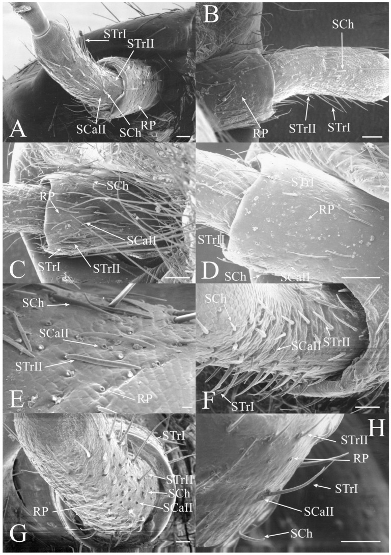 Figure 14