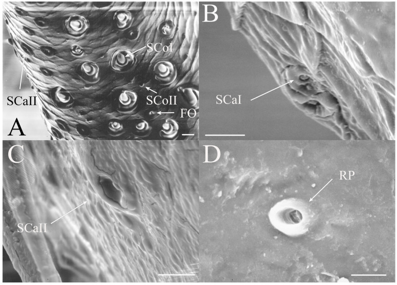 Figure 16