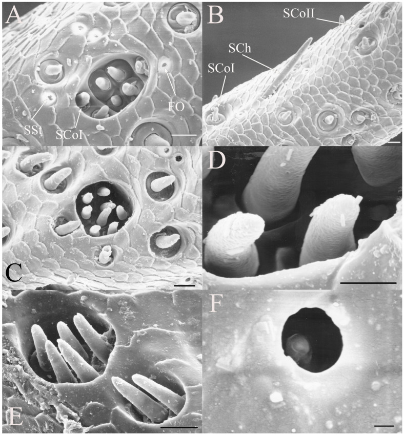 Figure 18