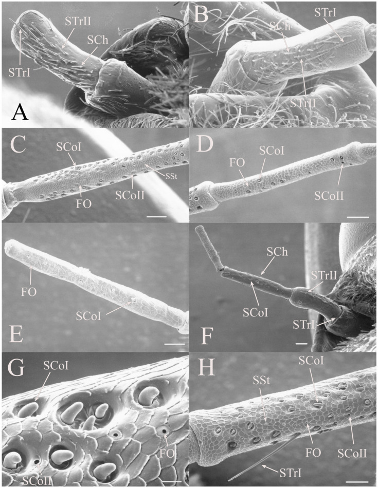 Figure 19