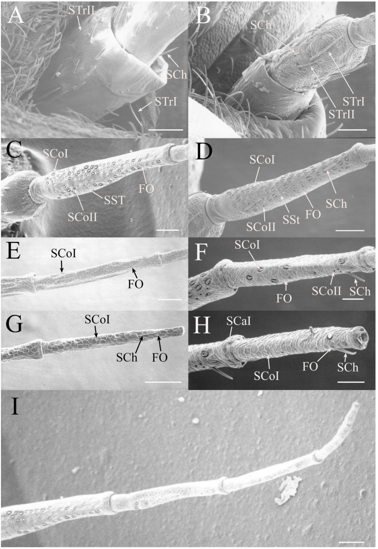 Figure 20