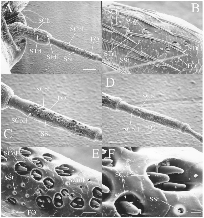 Figure 22