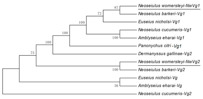 Figure 2