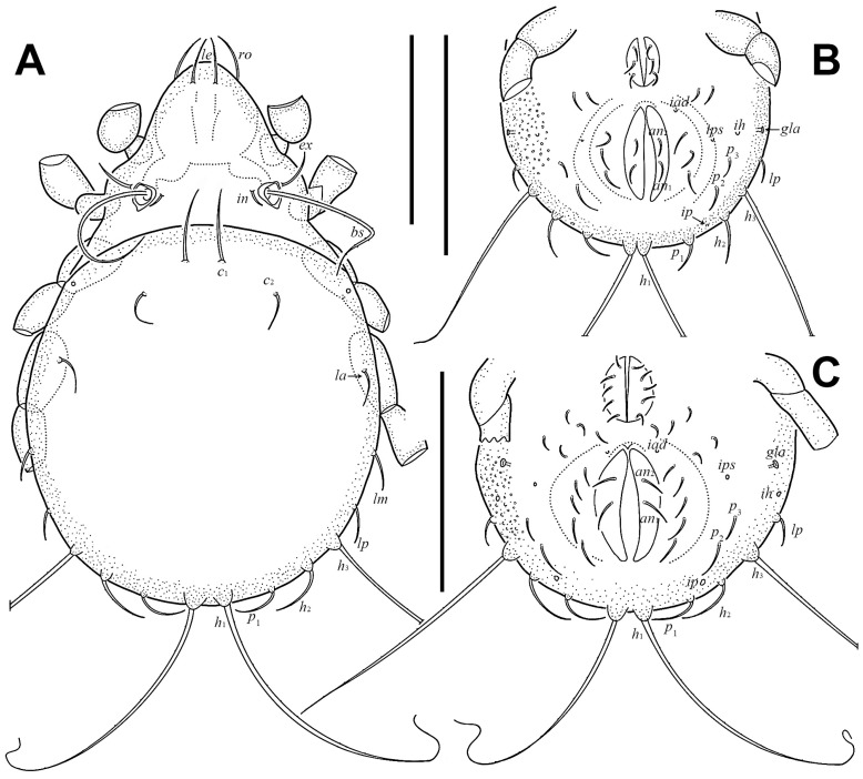 Figure 9