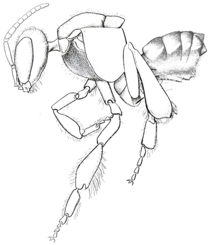 Figure 11