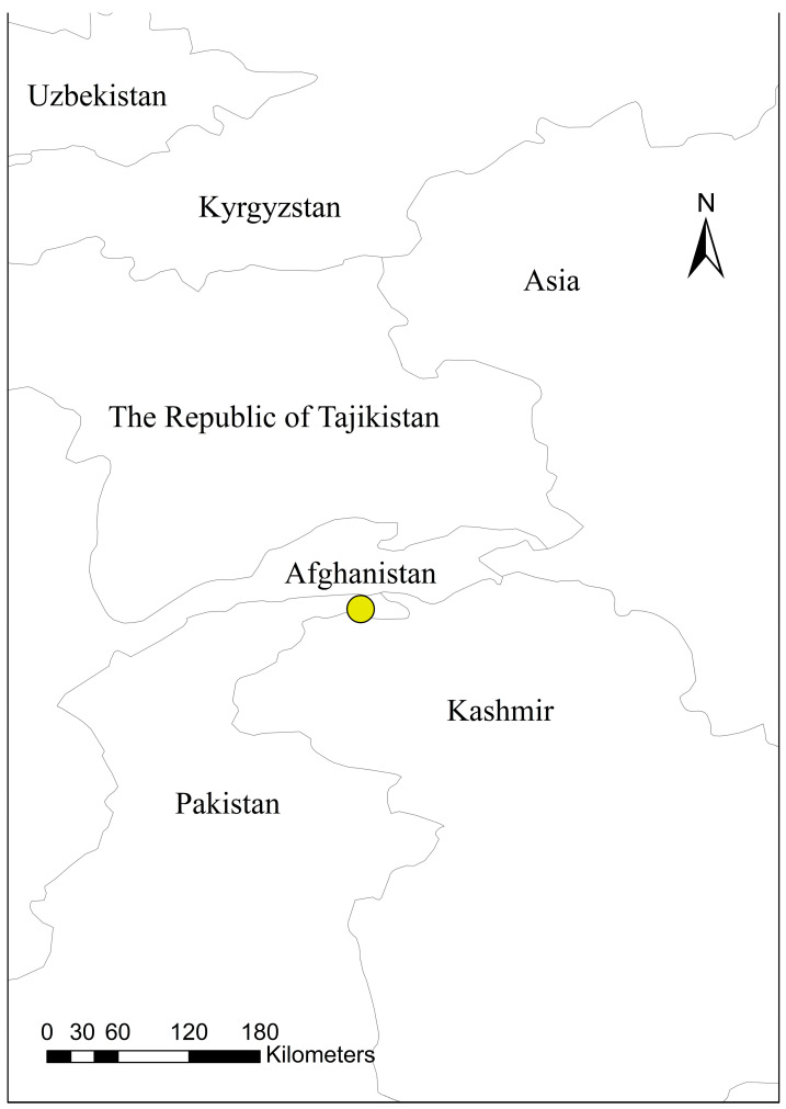 Figure 13