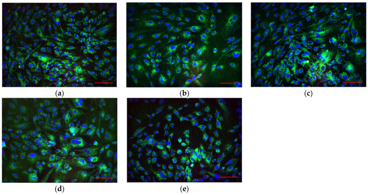 Figure 14