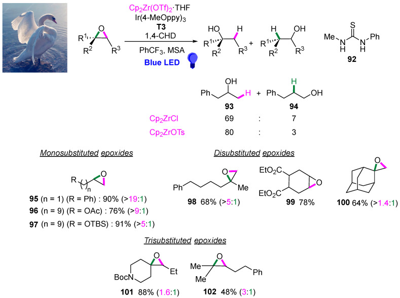 Figure 24
