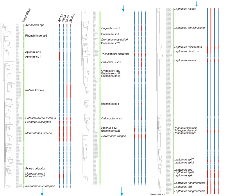 Figure 5