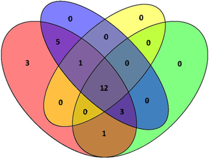 Figure 10