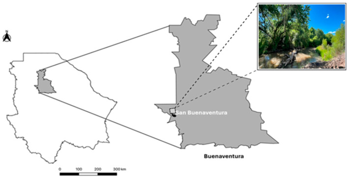 Figure 1