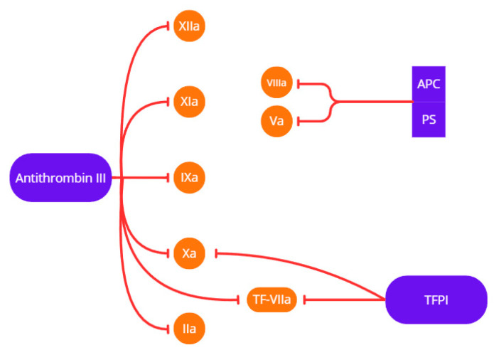 Figure 19